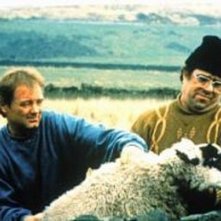 Una scena di Piovono pietre