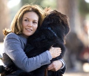 Diane Lane in partnerperfetto.com