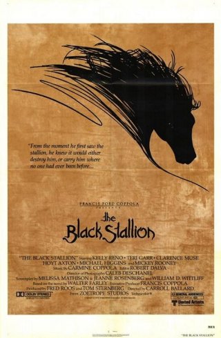 La locandina di Black Stallion