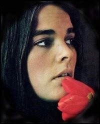  Ali MacGraw