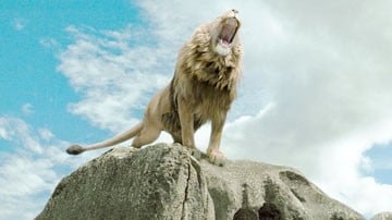 Il leone del primo film de Le cronache di Narnia