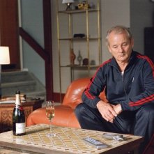Bill Murray in Broken Flowers