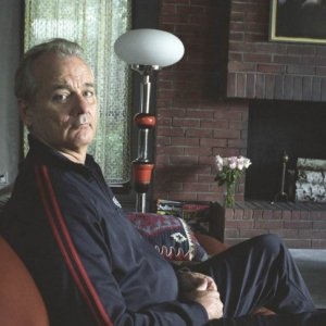 Bill Murray in Broken Flowers