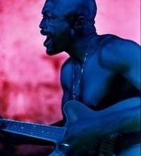 Una suggestiva immagine di Seal