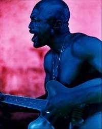 Una suggestiva immagine di Seal