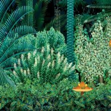 Kirikù e gli animali selvaggi, un'immagine del film d'animazione