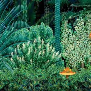 Kirikù e gli animali selvaggi, un'immagine del film d'animazione