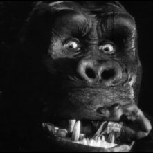 Un primo piano del colossale protagonista di King Kong