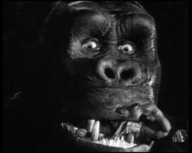 Un primo piano del colossale protagonista di King Kong