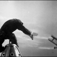 Una scena di KING KONG