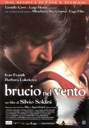 La locandina di Brucio nel vento