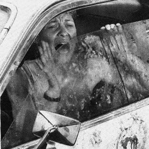 Dee Wallace Stone in Cujo