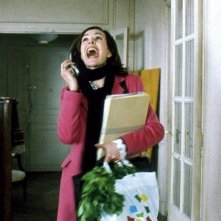 Carole Bouquet in Travaux - Lavori in casa