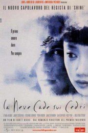 La locandina di La neve cade sui cedri