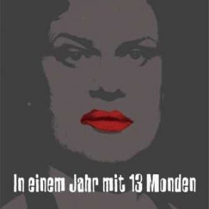 La locandina di Un anno con 13 lune