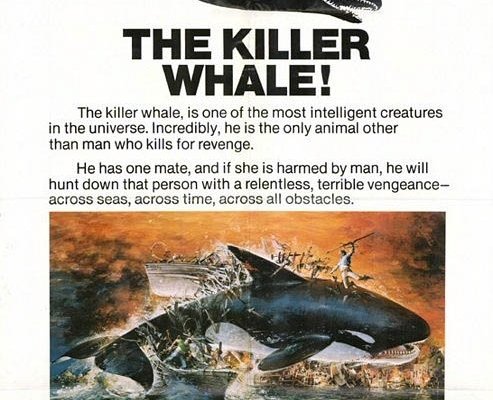 L'orca assassina (Film 1977): trama, cast e info - Movieplayer.it