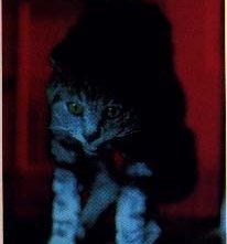 Una scena de L'occhio del gatto