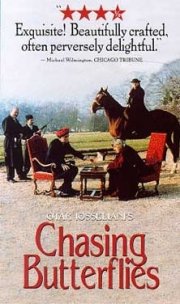 La locandina di Caccia alle farfalle