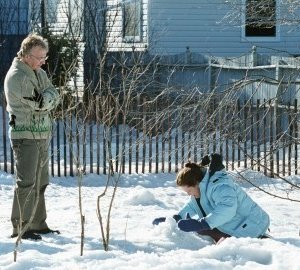 Alan Rickman e Sigourney Weaver in una scena di Snow Cake