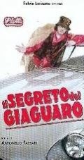 La locandina di Il segreto del giaguaro
