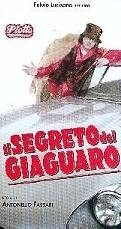 Locandina di Il segreto del giaguaro