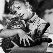 Drew Barrymore ne L'occhio del gatto