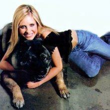 Sarah Michelle Gellar 23027