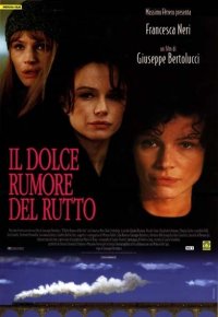 Locandina di Il dolce rumore della vita