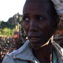 Una scena del film L'incubo di Darwin