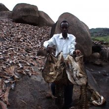 Una scena del film L'incubo di Darwin
