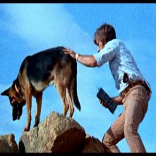 Martin Speer in una scena di LE COLLINE HANNO GLI OCCHI