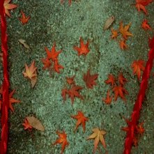 Foglie rosse in una scena di DOLLS