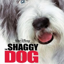 La locandina di The Shaggy Dog