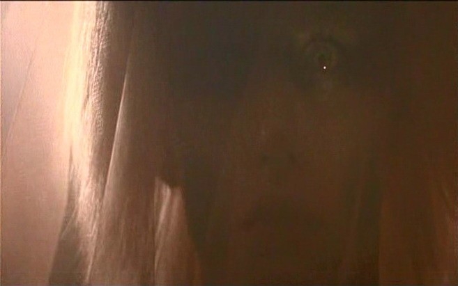 Daryl Hannah In Una Scena Di Blade Runner 24249