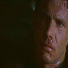 Harrison Ford dal film BLADE RUNNER