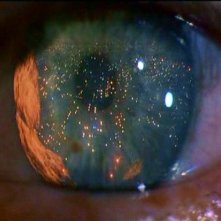 Una Scena Di Blade Runner 24229