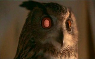 Una scena di BLADE RUNNER (1982)