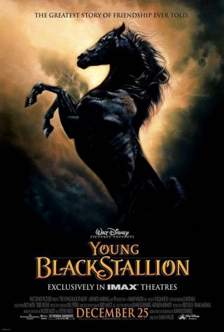 La locandina di The Young Black Stallion