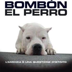 La locandina di Bombòn - El perro