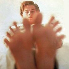Leonardo Dicaprio 24685