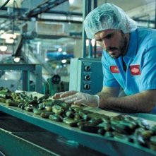 L'attore Matt  Dillon in una scena di Factotum