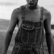Brad Renfro