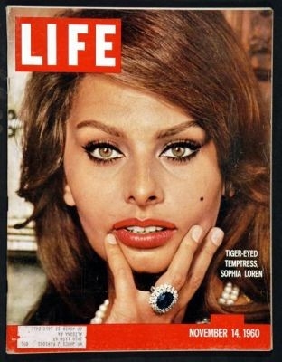 Sophia Loren 25199