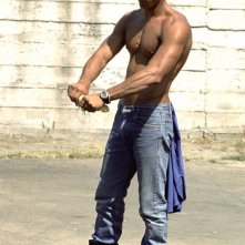 Valerio Foglia Manzillo in Mater Natura