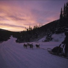 Una scena de Il grande nord