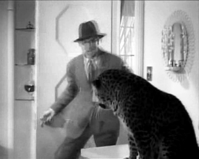 Cary Grant E Il Leopardo Baby In Una Scena Di Susanna 25527