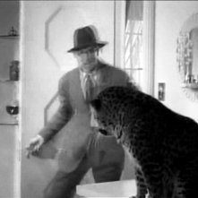 Cary Grant e il leopardo Baby in una scena di SUSANNA