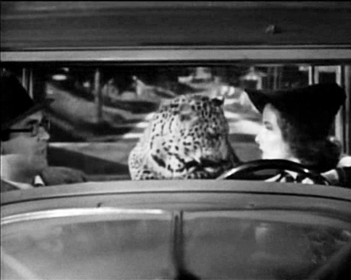 Cary Grant Il Leopardo Baby E Katharine Hepburn In Una Scena Di Susanna 25529