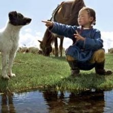 Una scena de il cane giallo della mongolia