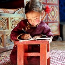 Una scena de il cane giallo della mongolia